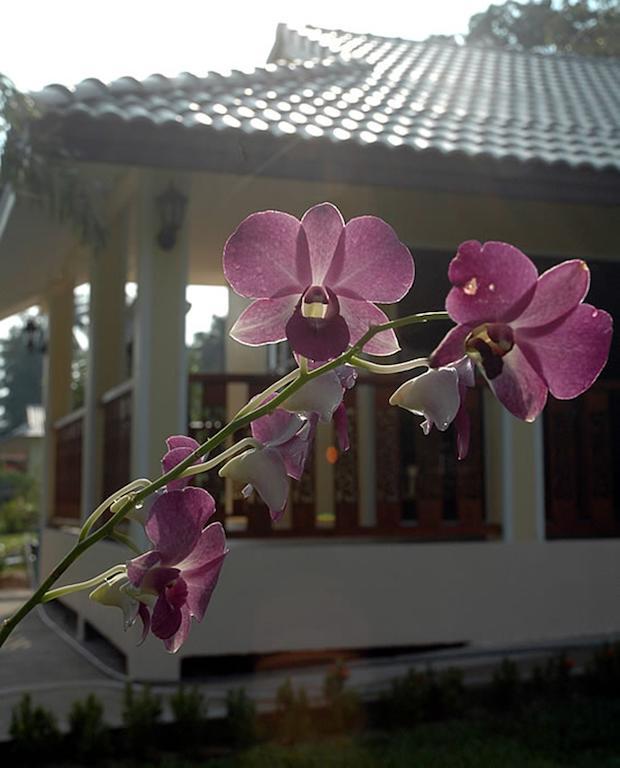 Apple Bungalows 방사판 외부 사진
